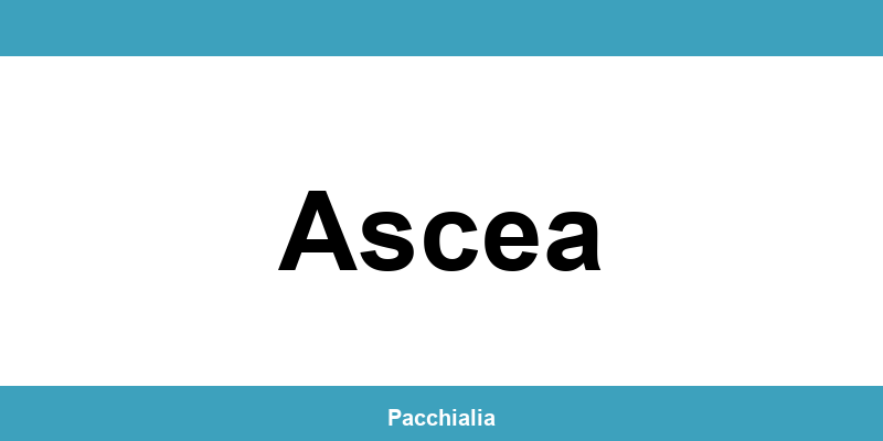 Contatti dell’ufficio Poste Italiane a Ascea