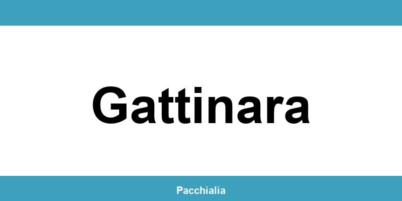 Contatti dell’ufficio Poste Italiane a Gattinara