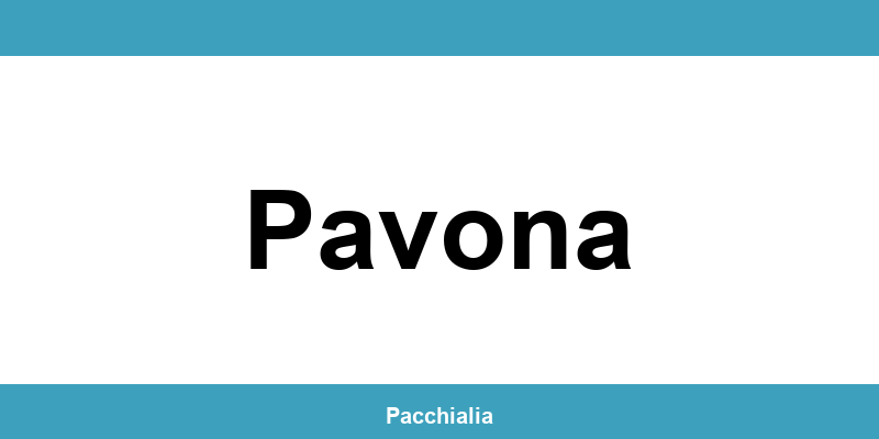 Contatti dell’ufficio Poste Italiane a Pavona