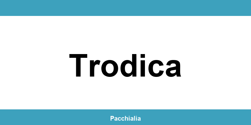 Contatti dell’ufficio Poste Italiane a Trodica